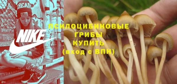 каннабис Козловка
