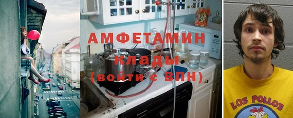 индика Семикаракорск