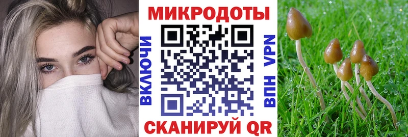 KRAKEN ССЫЛКА закладки Черемхово Псилоцибиновые грибы Psilocybine cubensis